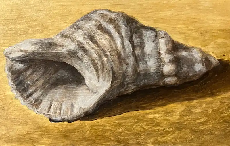 2023 Seashell WEB FEAT 800x510 Q50