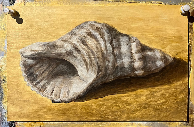 2023 Seashell WEB FULL 800w