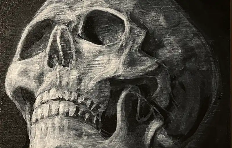 2024 Skull Box WEB FEAT 800x510 Q50