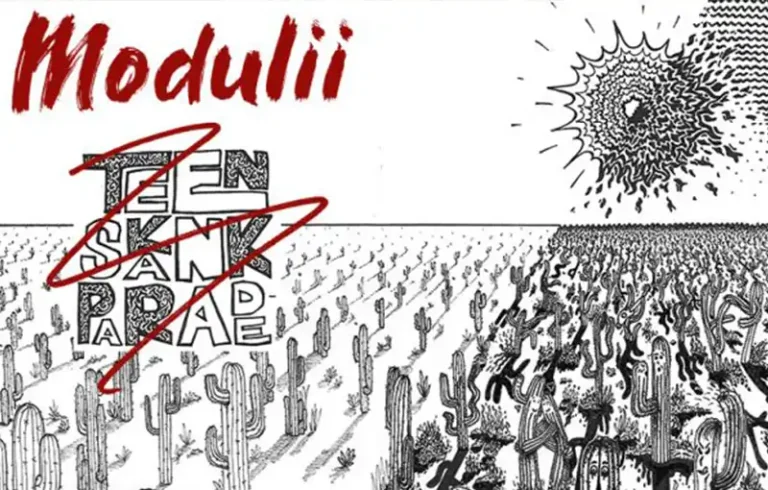 2010 Modulii Poster WEB FEAT 800x510