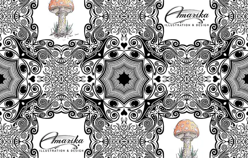 2012 Amarika Flyer WEB FEAT 800x510 Q50