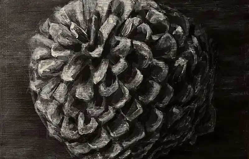 2024 Pine Cone WEB FEAT 800x510 Q50